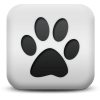 Captcha image 4340